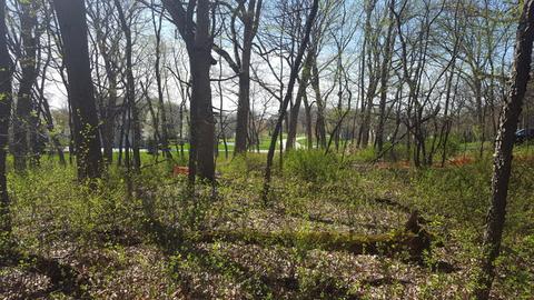 24913 N Autumn Rdg, Cary, IL 60013 photo 6