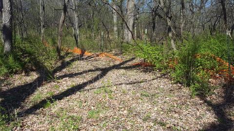 24913 N Autumn Rdg, Cary, IL 60013 photo 3