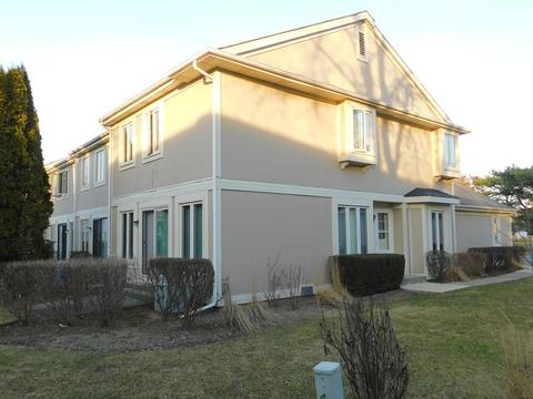 337 Redwing Dr, Deerfield, IL 60015 photo 23