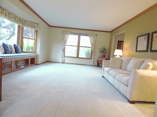238 Windsor Dr, Bartlett, IL 60103 photo 8