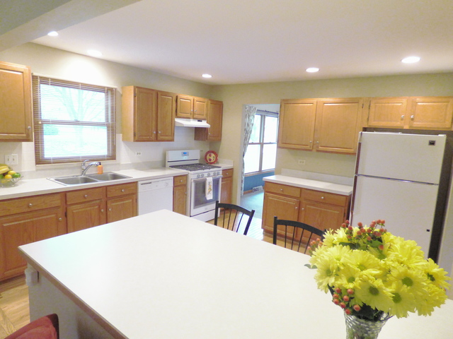 238 Windsor Dr, Bartlett, IL 60103 photo 3