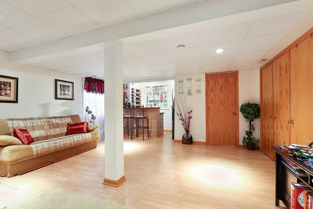 14061 Front Royal Ct, Plainfield, IL 60544 photo 13