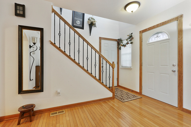 14061 Front Royal Ct, Plainfield, IL 60544 photo 8