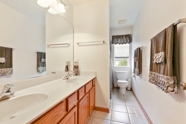 14061 Front Royal Ct, Plainfield, IL 60544 photo 12