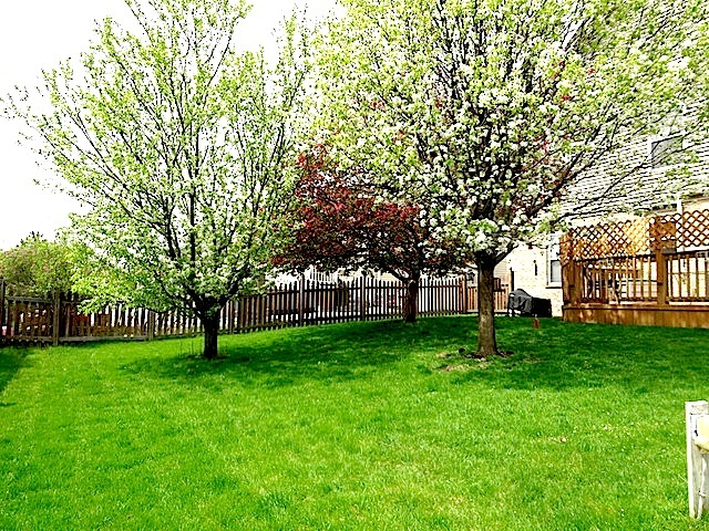 4514 Oriole Ln, Plainfield, IL 60586 photo 5
