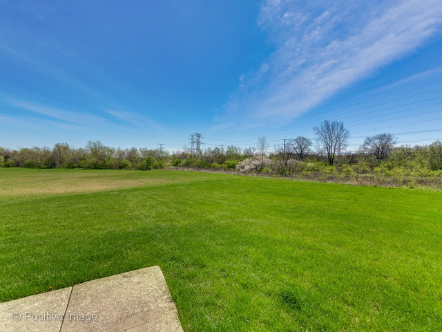260 Circlegate Rd, New Lenox, IL 60451 photo 16