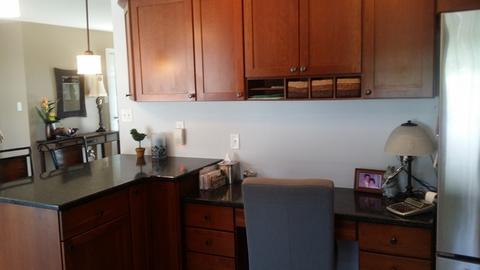 220 E Iowa St, Spring Valley, IL 61362 photo 7