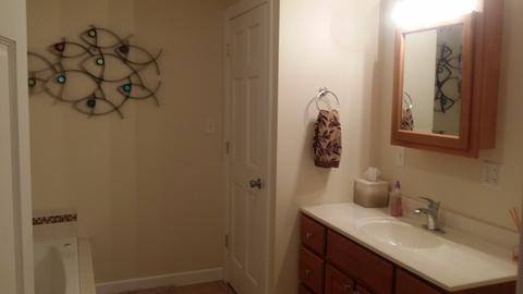 220 E Iowa St, Spring Valley, IL 61362 photo 18