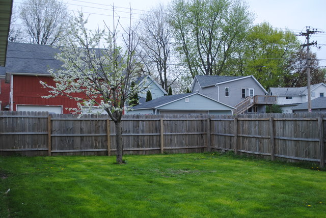 603 8th Ave, Sterling, IL 61081 photo 15
