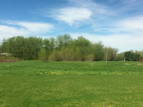 24454 S Pine Ridge Dr, Monee, IL 60449 photo 25