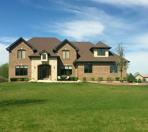 24454 S Pine Ridge Dr, Monee, IL 60449 photo 1