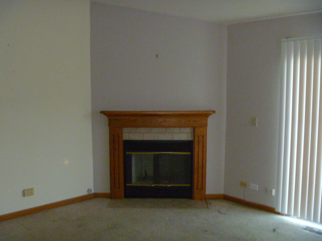 647 Edwards Ave, West Dundee, IL 60118 photo 4