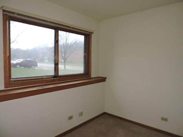 647 Edwards Ave, West Dundee, IL 60118 photo 14
