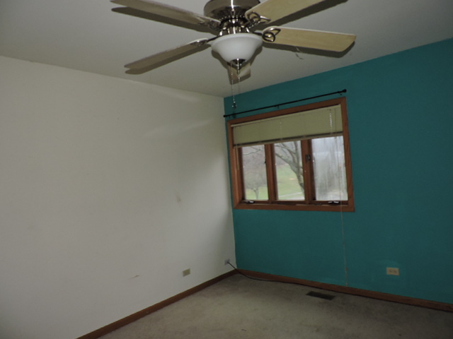 647 Edwards Ave, West Dundee, IL 60118 photo 9