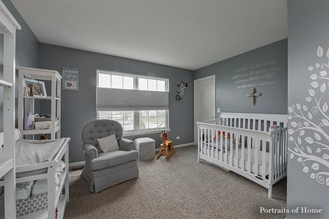 25426 Grotto Ct, Plainfield, IL 60585 photo 19