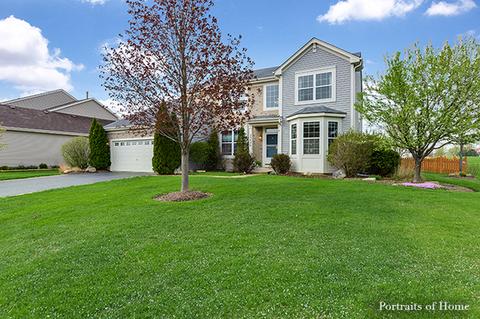 25426 Grotto Ct, Plainfield, IL 60585 photo 27