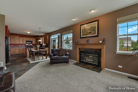 25426 Grotto Ct, Plainfield, IL 60585 photo 13