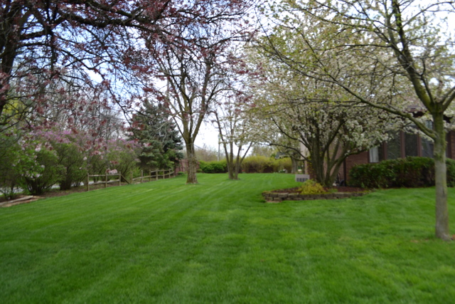 14701 Lorel Ave, Oak Forest, IL 60452 photo 15