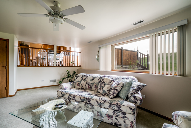 16540 W Apache Dr, Lockport, IL 60441 photo 10