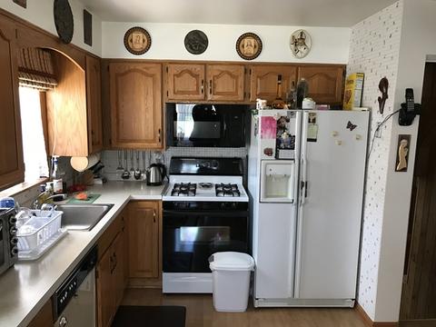 7253 W Breen St, Niles, IL 60714 photo 9