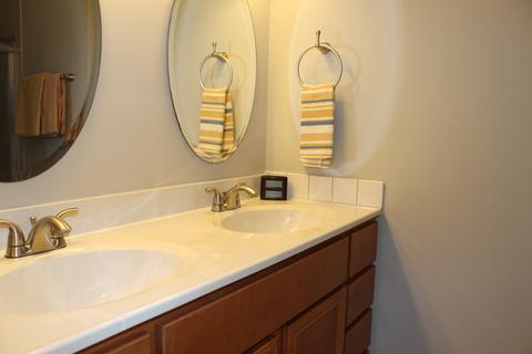 809 Trinity Ct, Carol Stream, IL 60188 photo 11