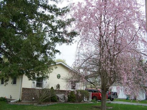 1505 Beach Rd, Mchenry, IL 60050 photo 2