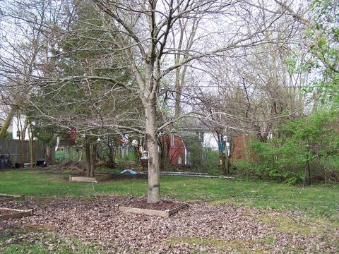 1505 Beach Rd, Mchenry, IL 60050 photo 3
