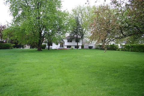 946 W Edward St, Wheeling, IL 60090 photo 3