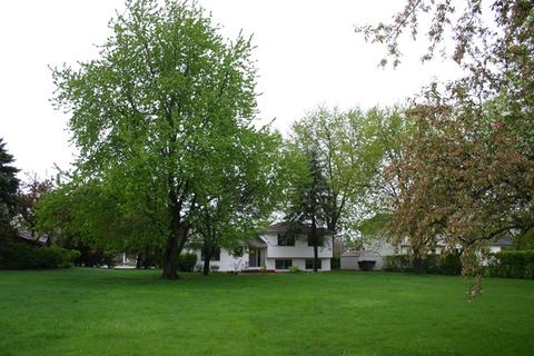 946 W Edward St, Wheeling, IL 60090 photo 16