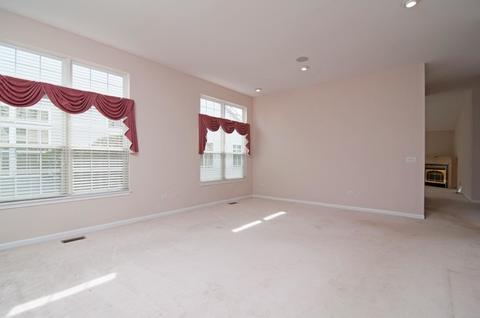 13919 S Tamarack Dr, Plainfield, IL 60544 photo 4