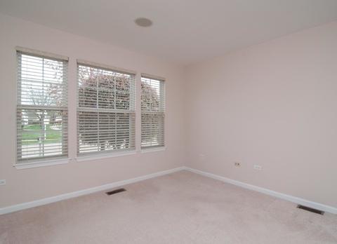 13919 S Tamarack Dr, Plainfield, IL 60544 photo 3