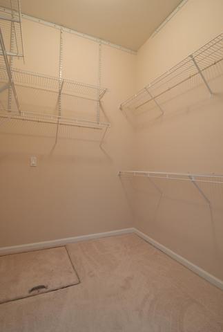 13919 S Tamarack Dr, Plainfield, IL 60544 photo 13