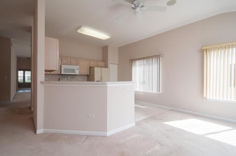 13919 S Tamarack Dr, Plainfield, IL 60544 photo 7