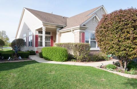 13919 S Tamarack Dr, Plainfield, IL 60544 photo 22