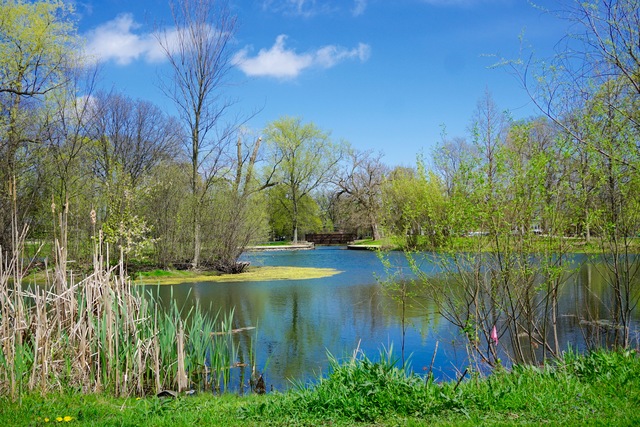 603 Crest St, Wheaton, IL 60187 photo 24
