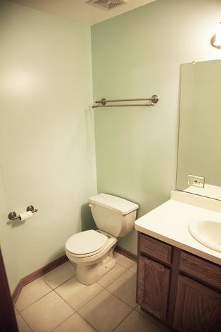 1586 Fox Hound Trl, Beecher, IL 60401 photo 23