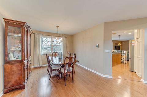 749 W Appletree Ln, Bartlett, IL 60103 photo 19