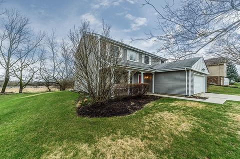 749 W Appletree Ln, Bartlett, IL 60103 photo 1