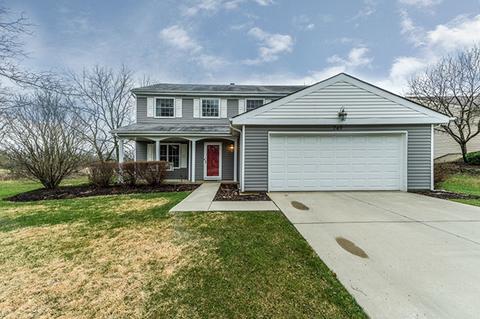 749 W Appletree Ln, Bartlett, IL 60103 photo 12