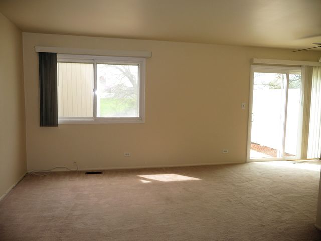643 Harbor Ter E, Bartlett, IL 60103 photo 3