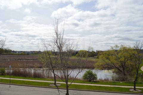 2140 Broadsmore Dr, Algonquin, IL 60102 photo 32