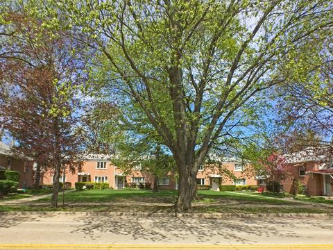 8512 Brookfield Ave, Brookfield, IL 60513 photo 1