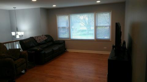 758 Spruce Ln S, Bartlett, IL 60103 photo 11