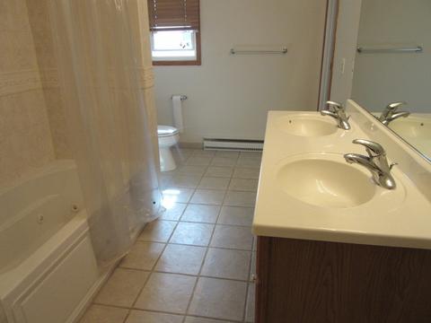 15132 S Thomas Ct, Plainfield, IL 60544 photo 18