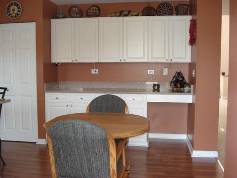 1254 Sycamore St, Elgin, IL 60123 photo 20