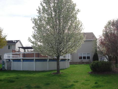 1254 Sycamore St, Elgin, IL 60123 photo 29