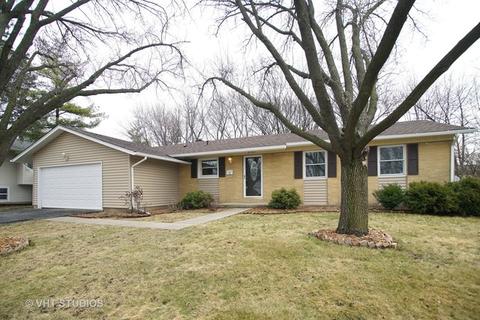 4125 Ohare Dr, Hoffman Estates, IL 60192 photo 1