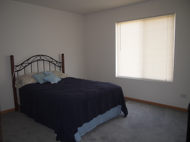 14411 Capital Dr, Plainfield, IL 60544 photo 9