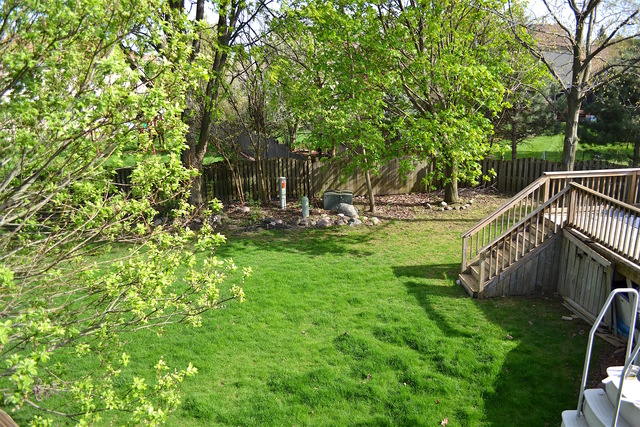 922 Paddock Dr, Carol Stream, IL 60188 photo 24