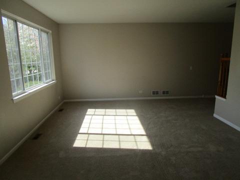24 Kelsey Ct, Algonquin, IL 60102 photo 4